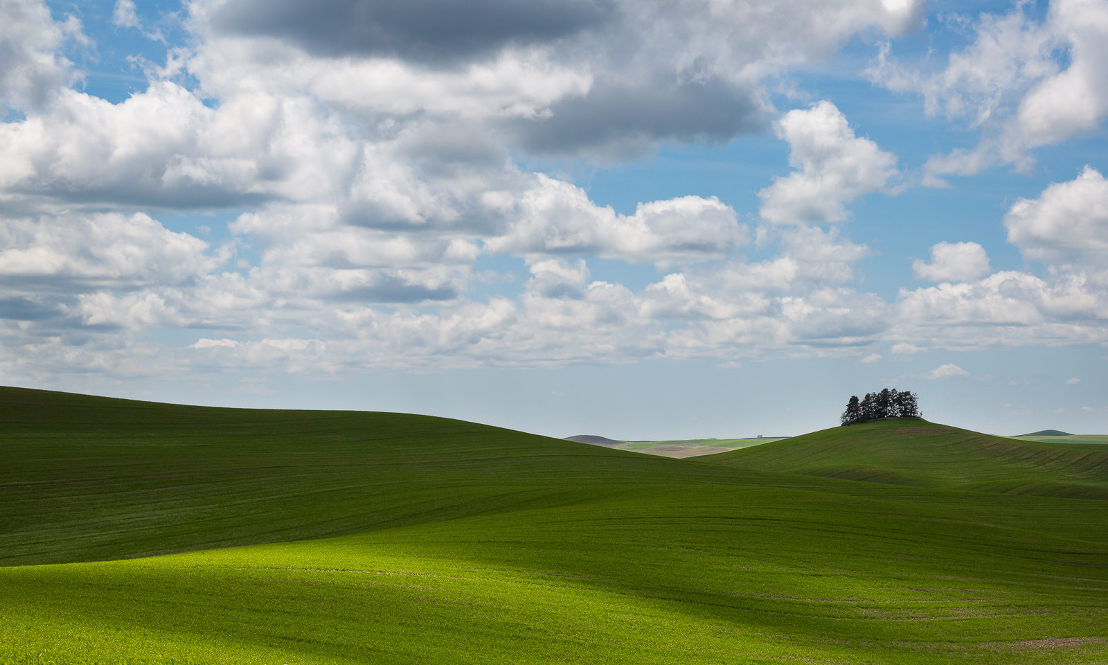 Palouse #5