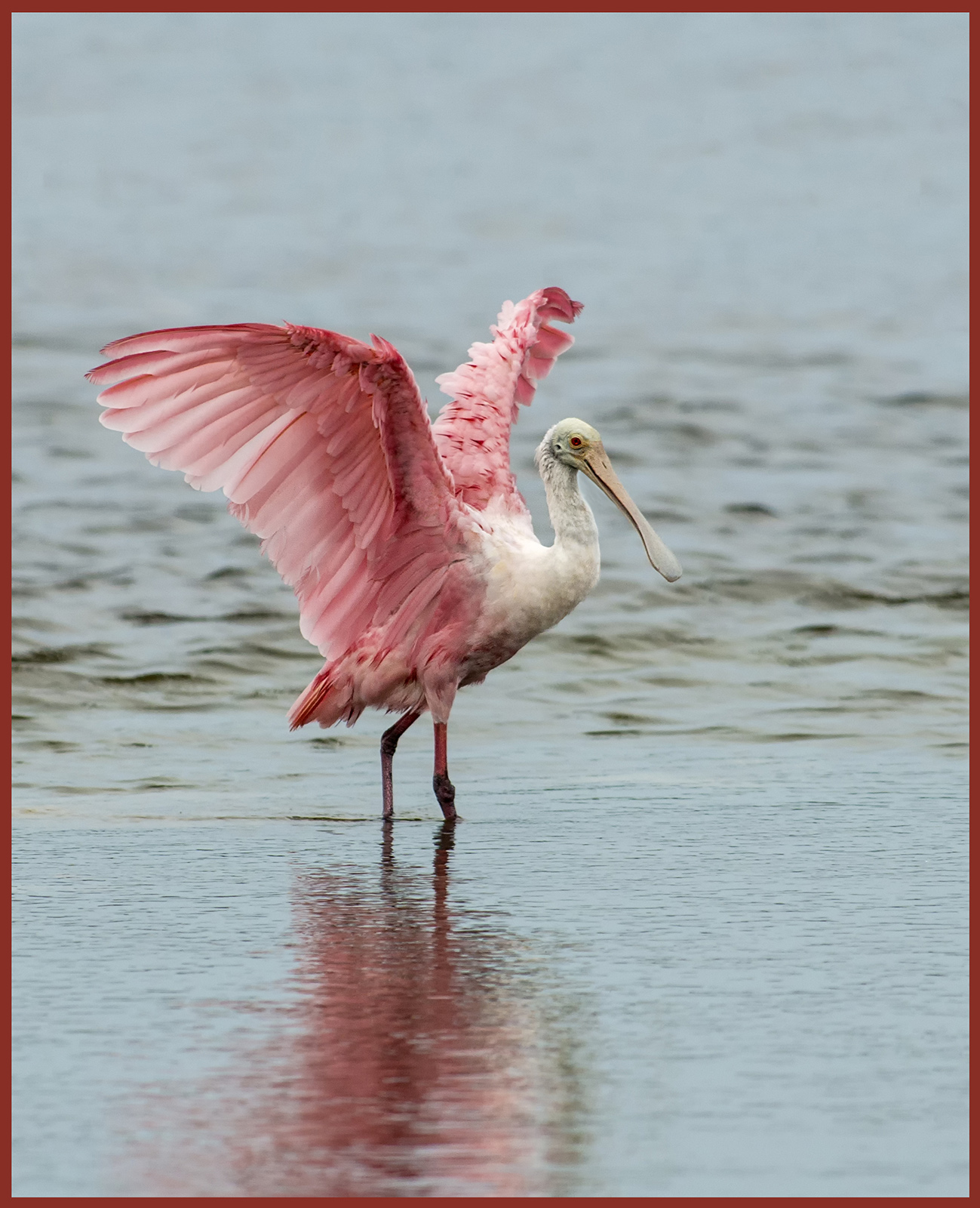 Pink Perfection