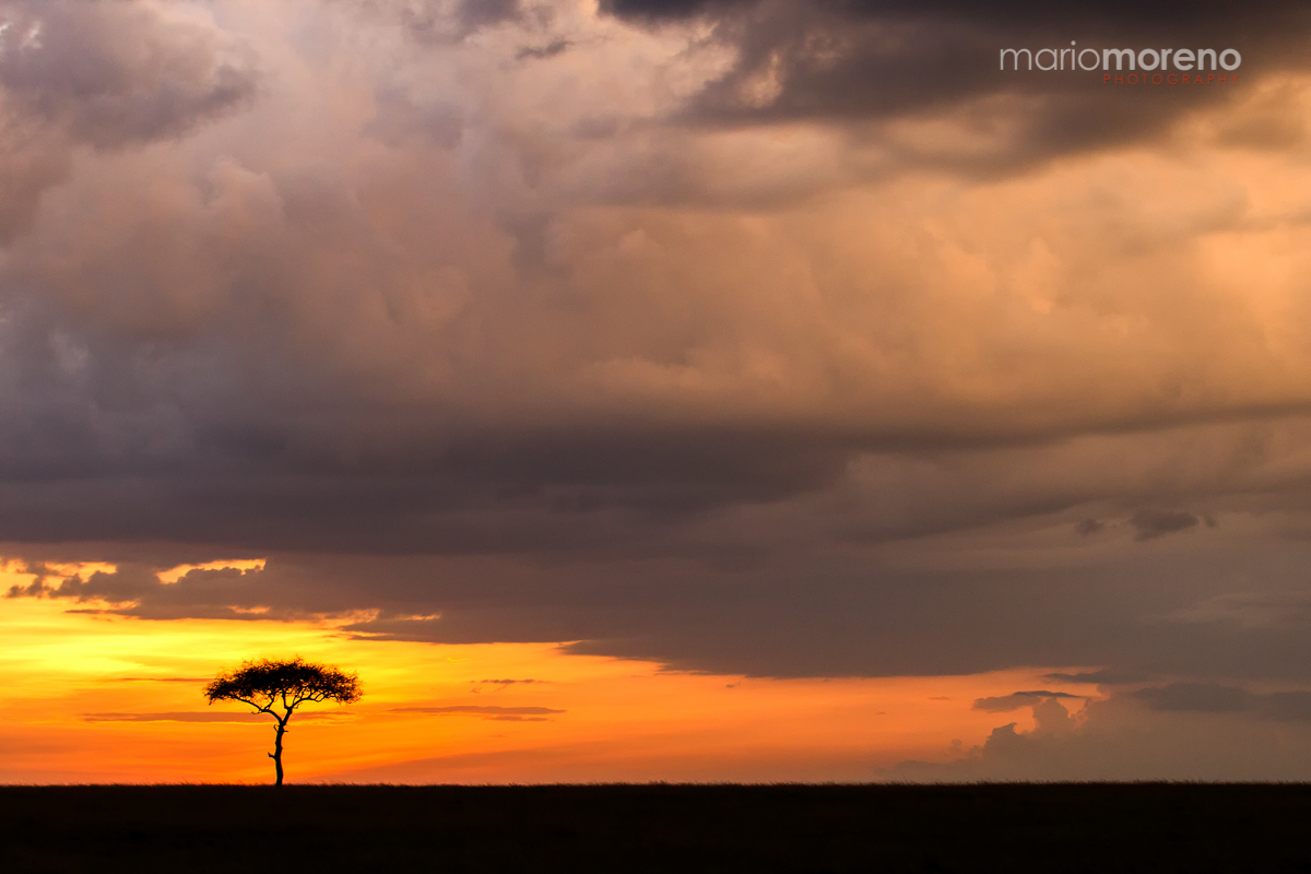 Sunset Drama