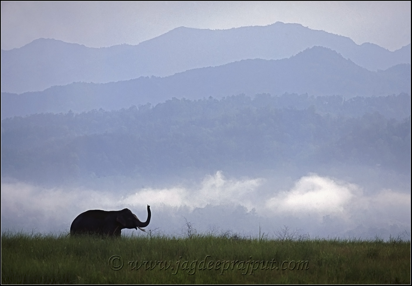 Himalayan foot-hills
