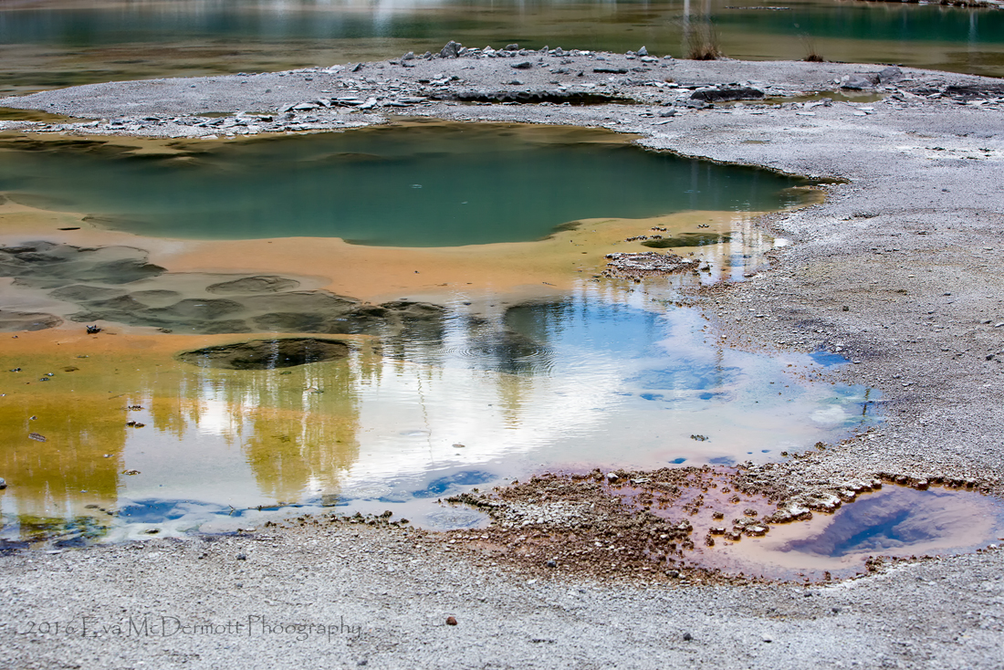 Norris Geyser Basin Reflection
