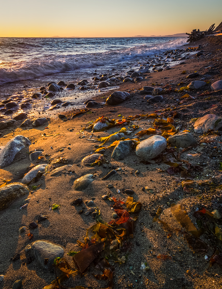 Busy Beach