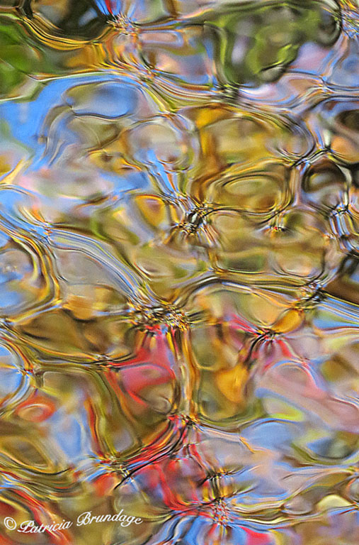 Colorful Fall Reflection