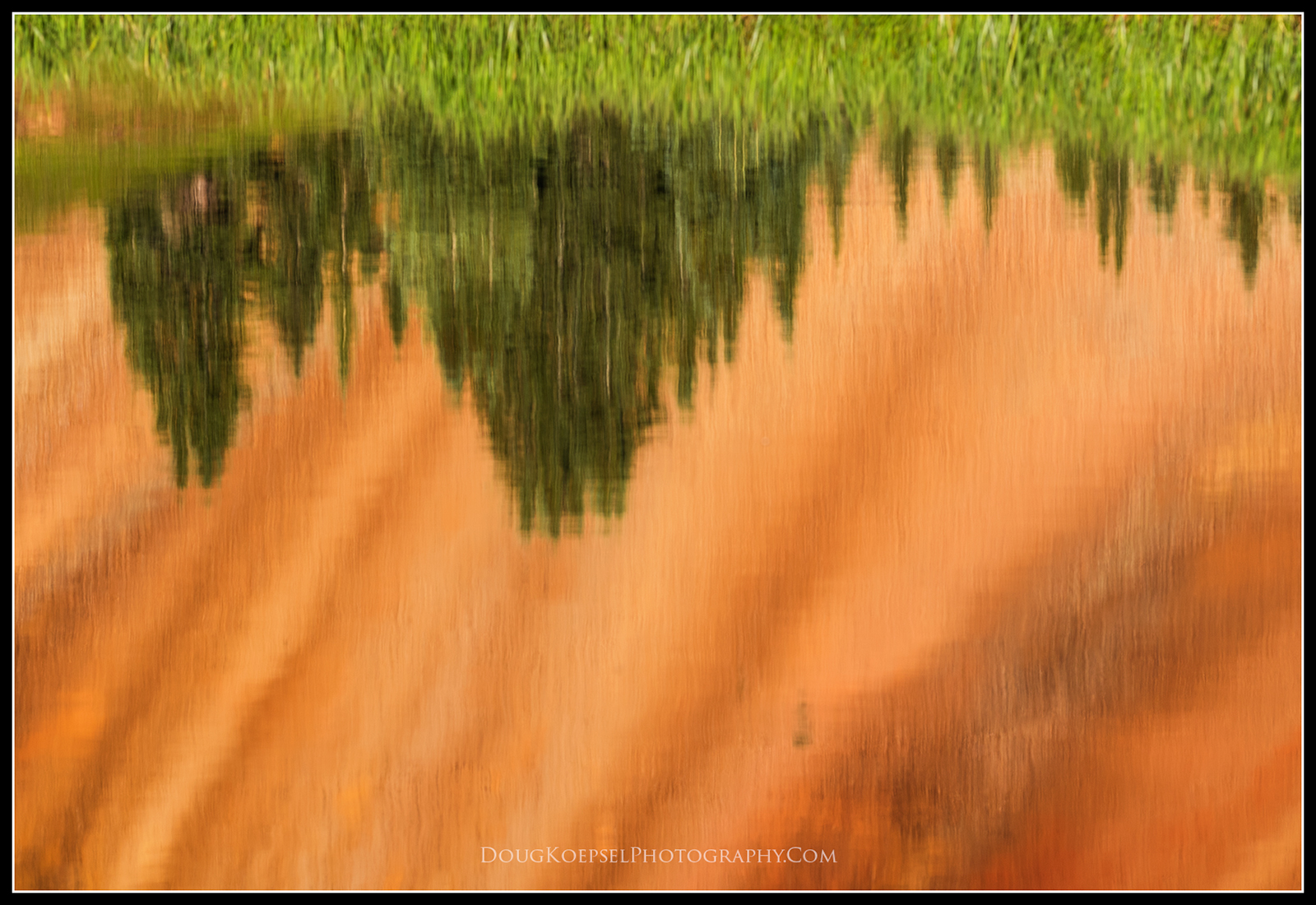 Red-sided Reflection