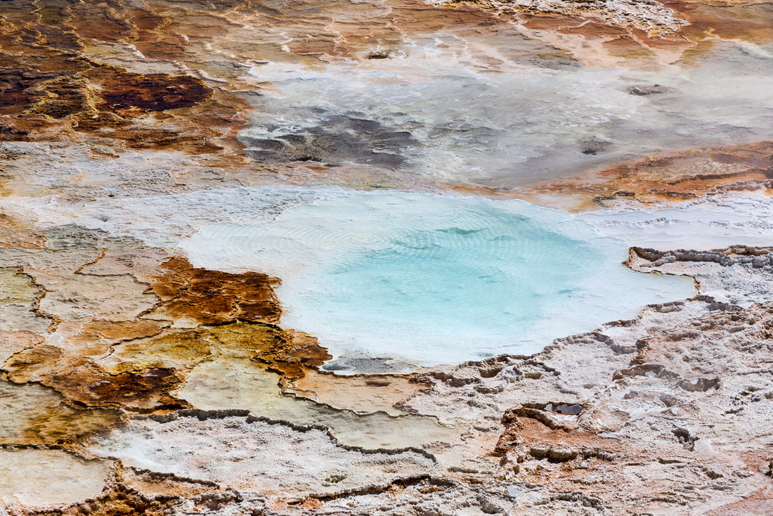 Mammoth Springs Abstract