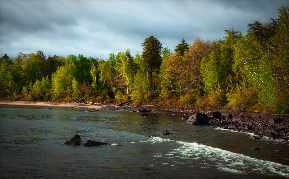 Union Bay Shoreline