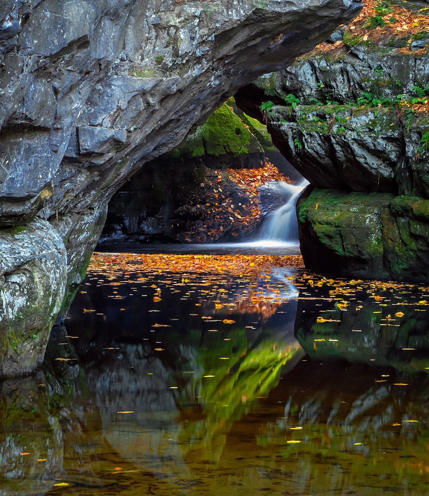 In the Gorge 