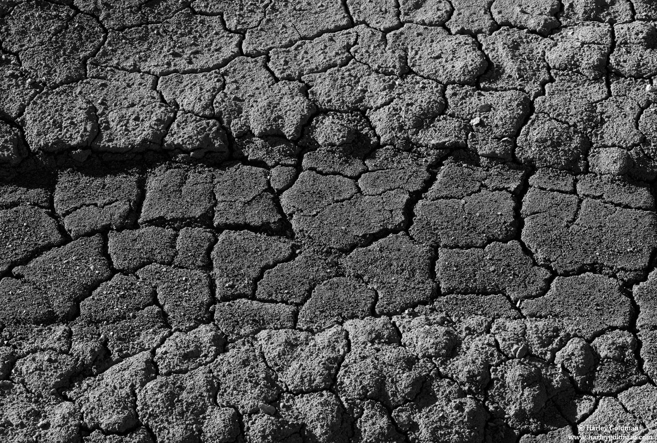 Mud Patterns