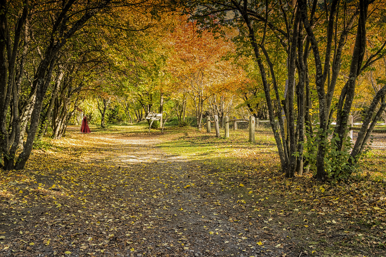 Autumn at Arrowtown