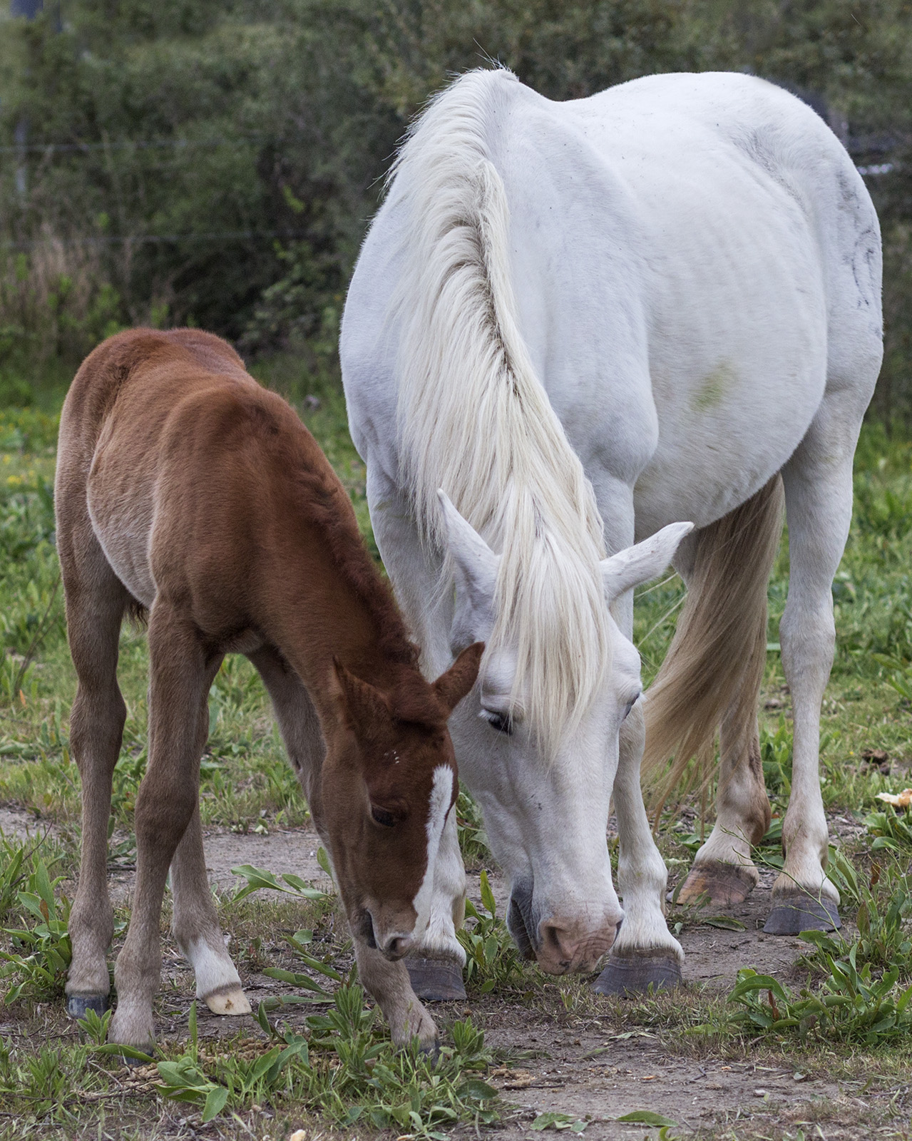Mother with her baby