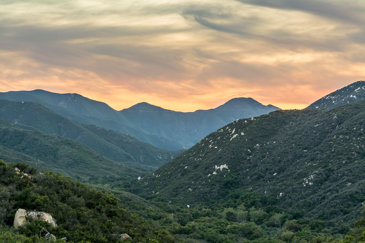 Ortega Canyons 