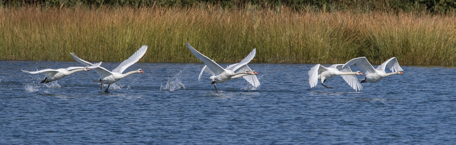 Take off