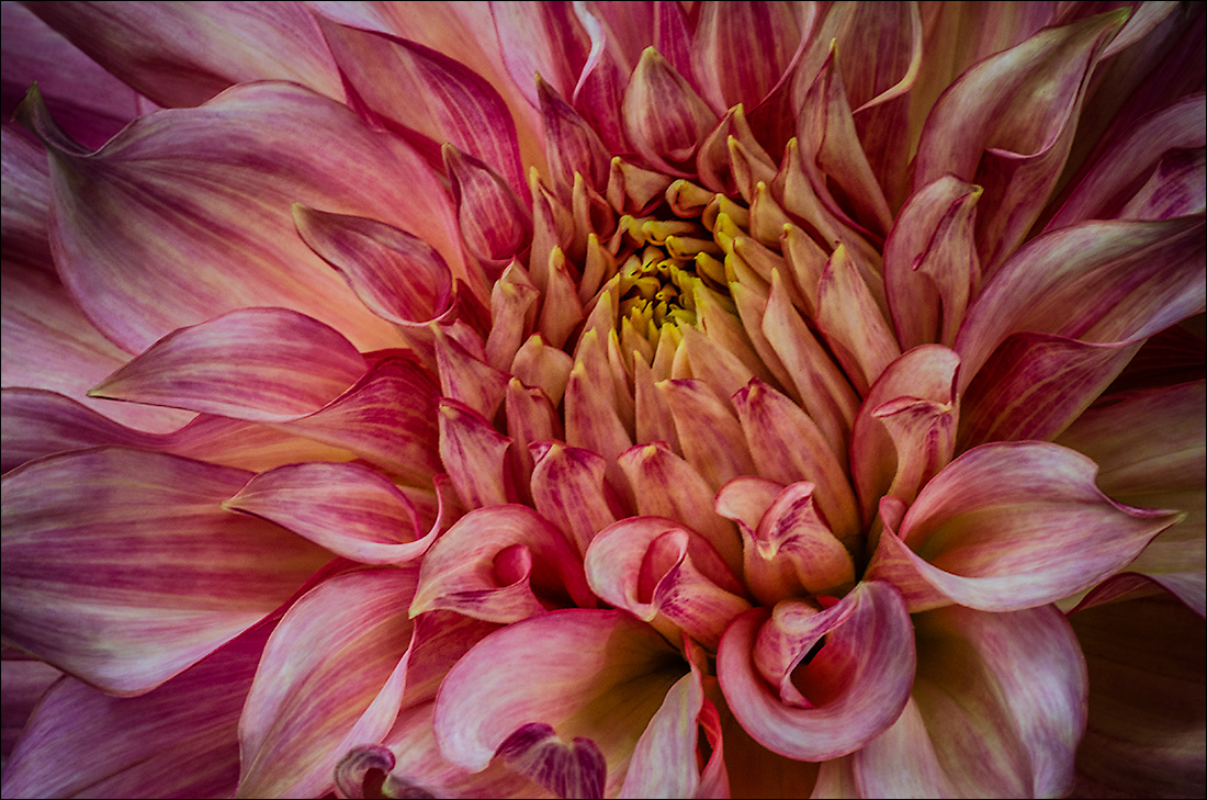 Photo Art - 1st Place