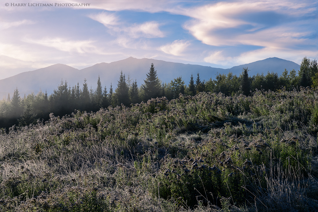 Fringed by Frost