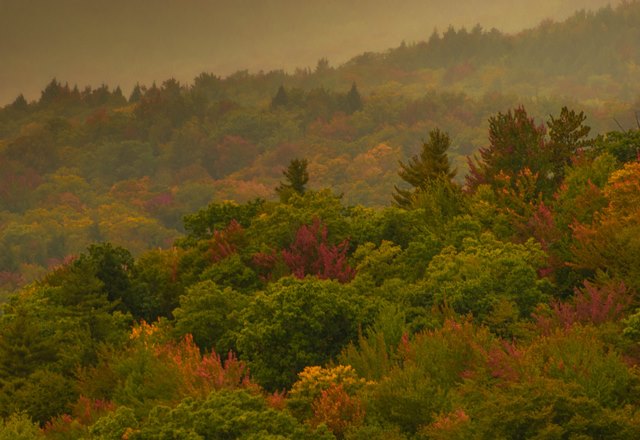 New Hampshire Foliage