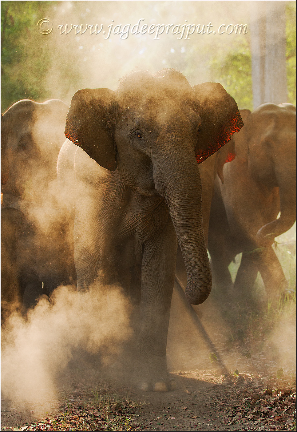 Steaming Hot !