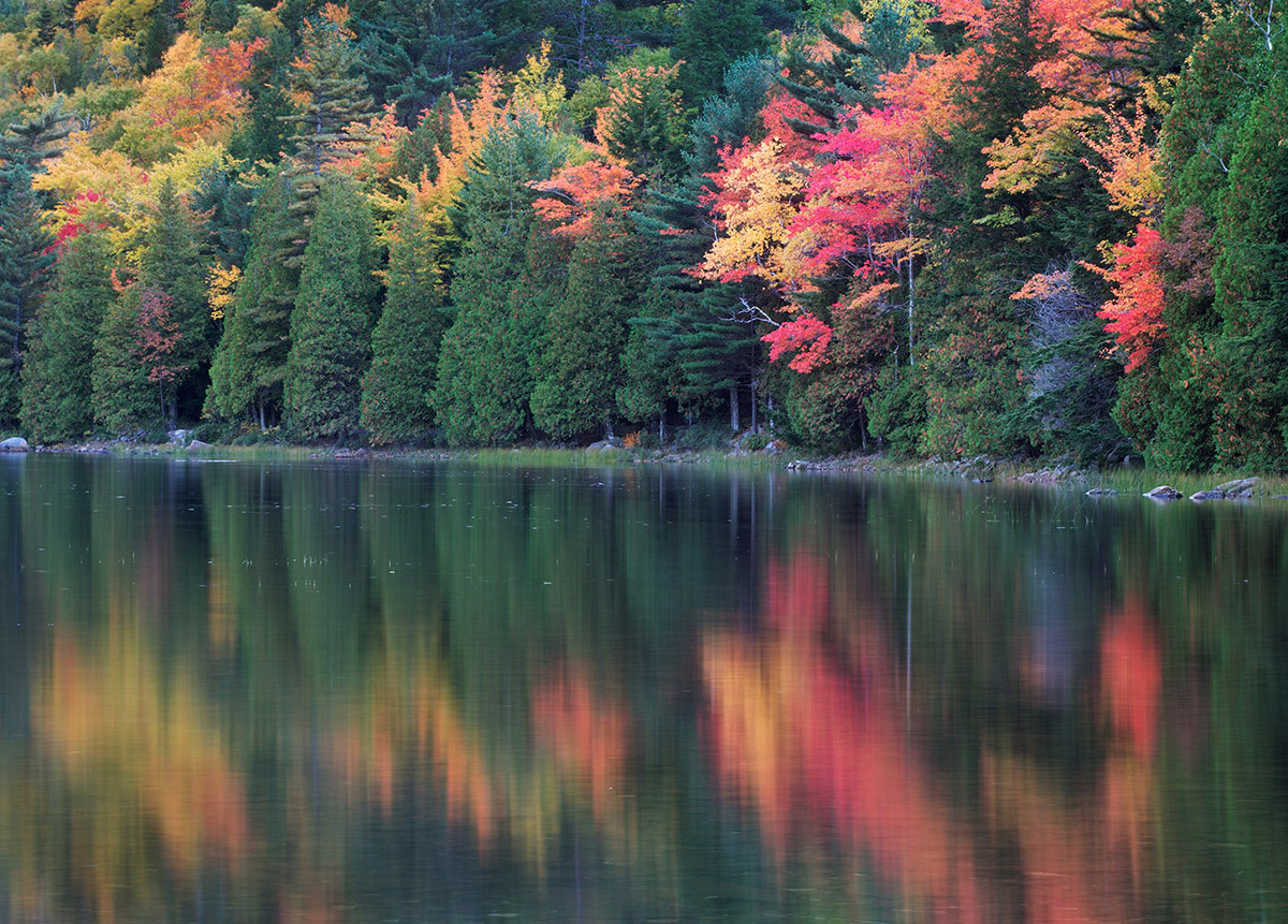 Colors of Acadia #1
