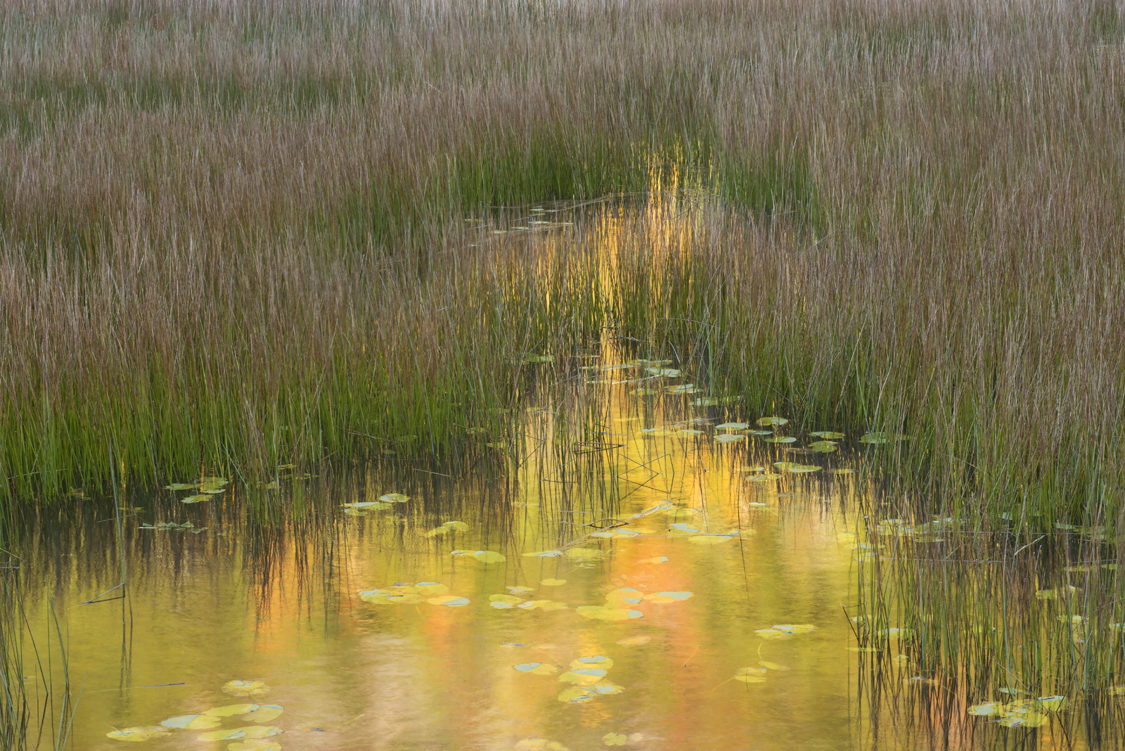 Another Tarn