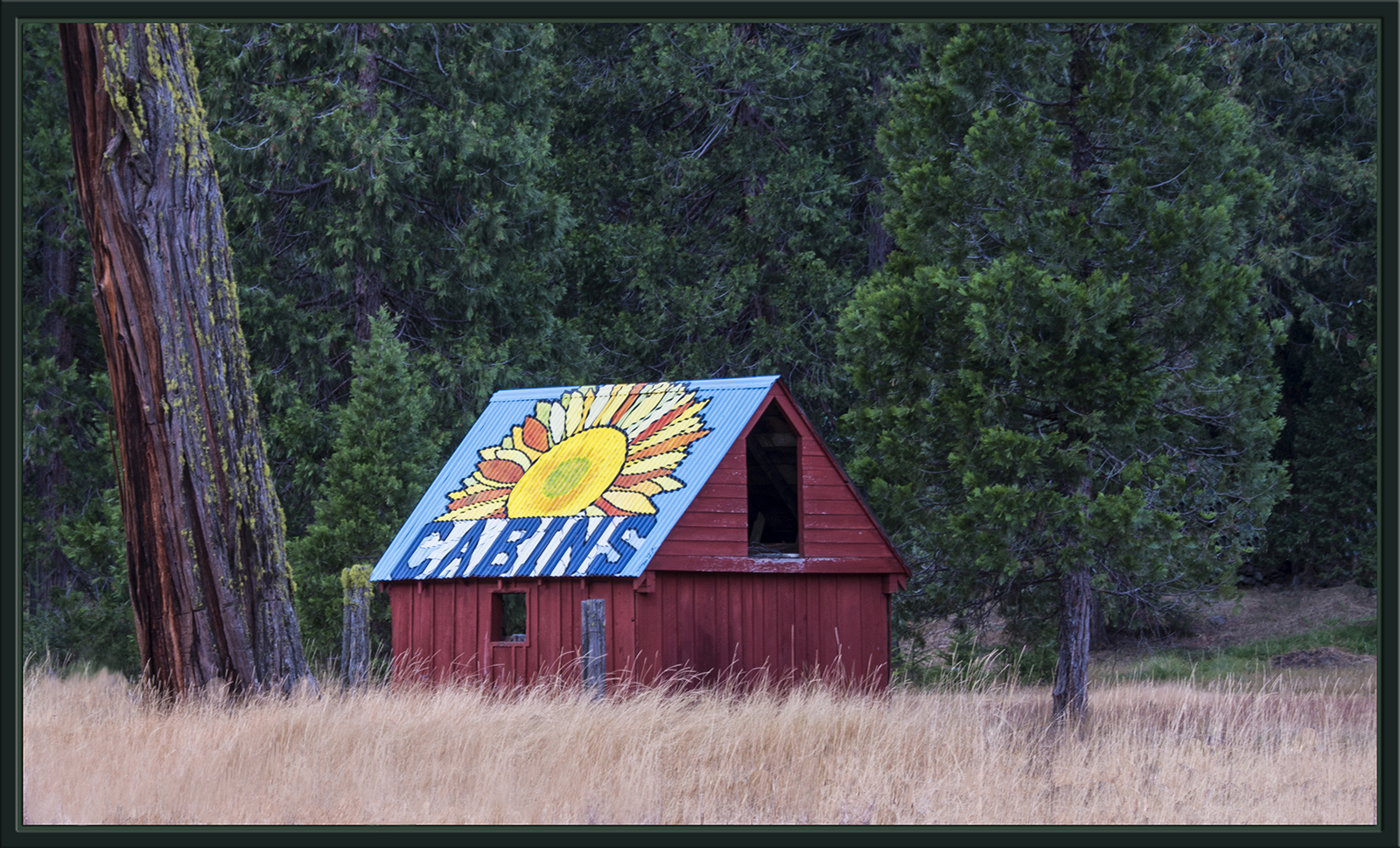 Trinity Cabin