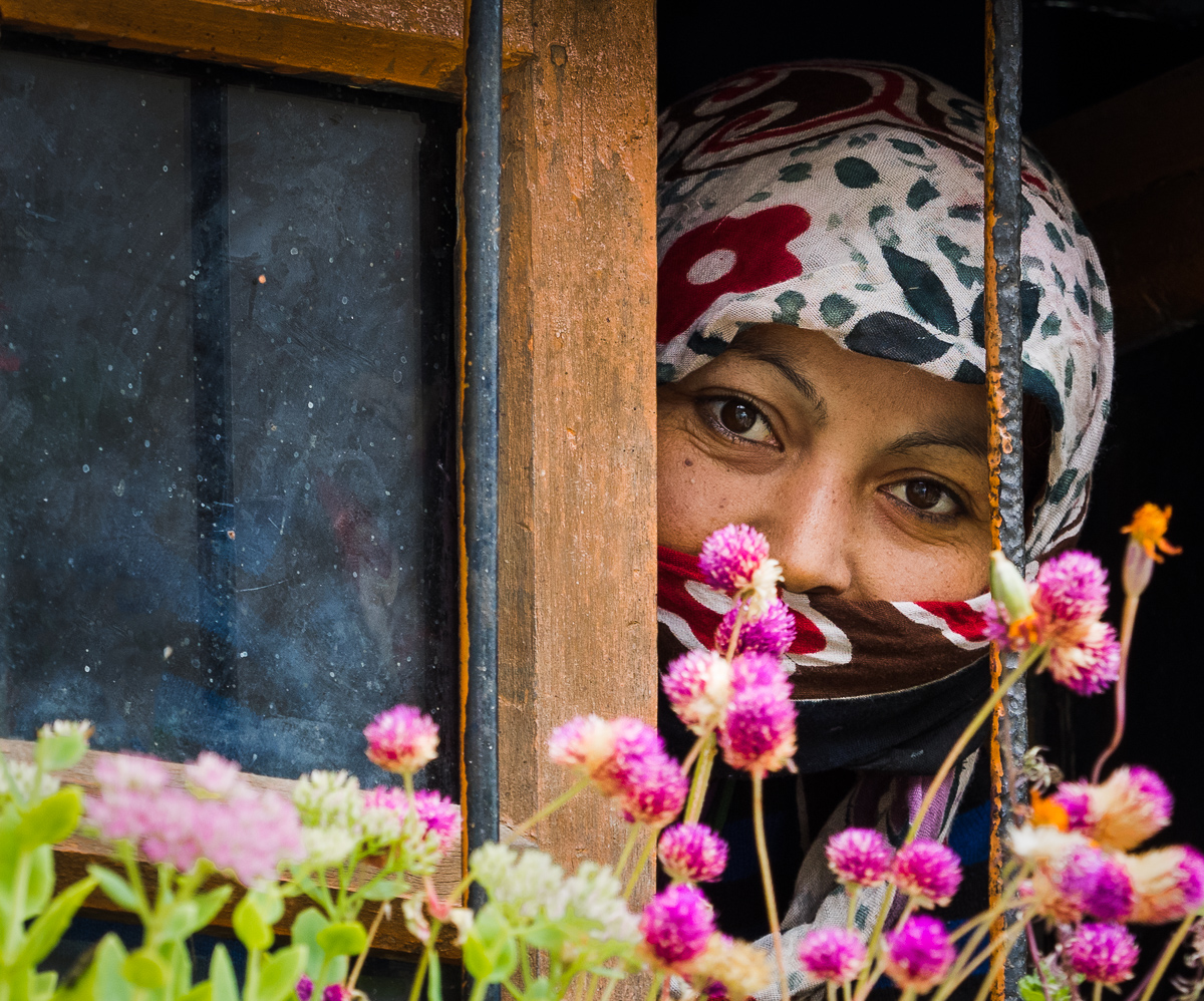 Woman in the Window