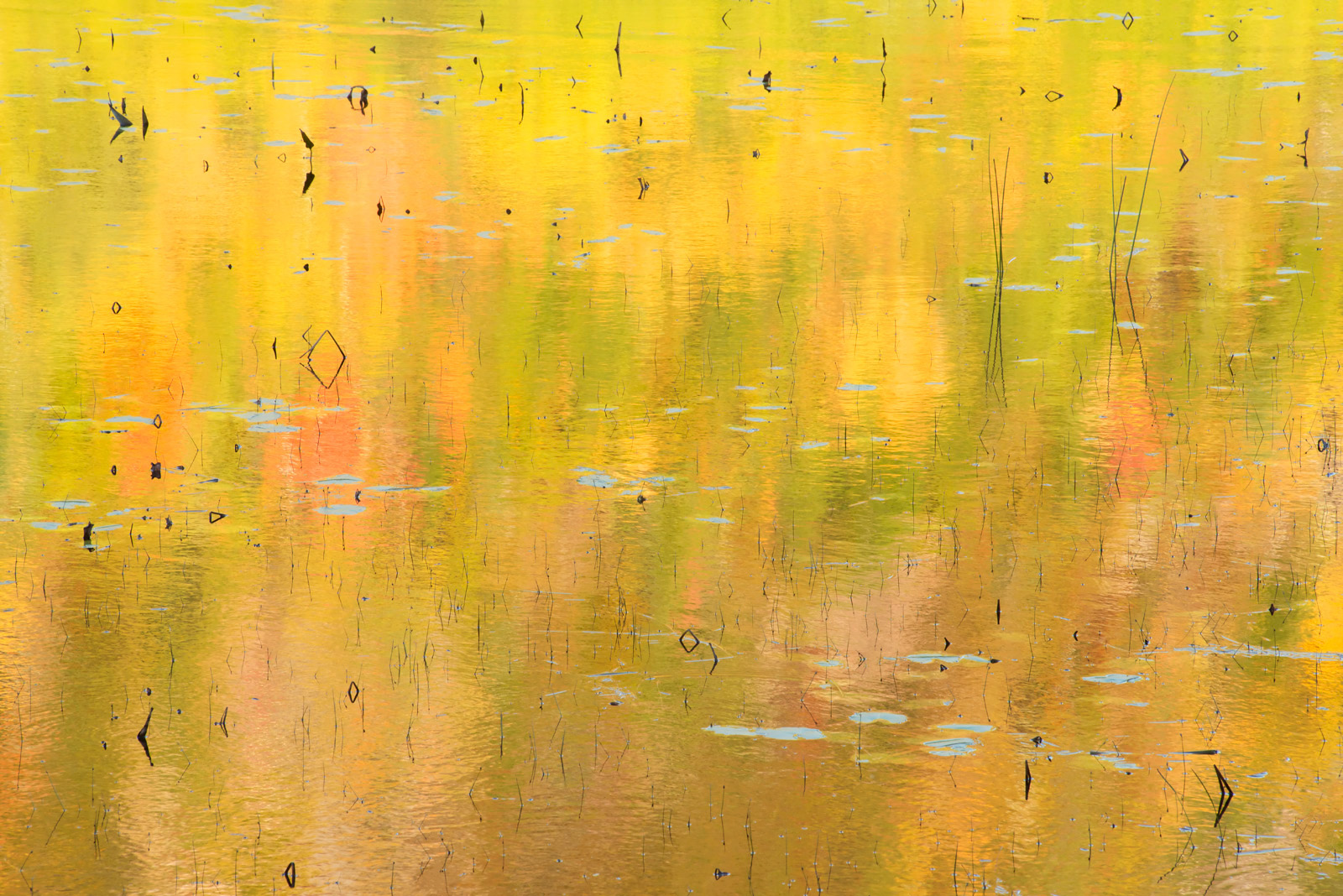 Tarn Abstract