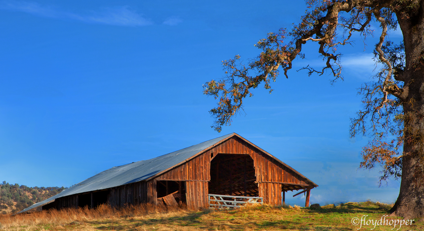 Country Barn