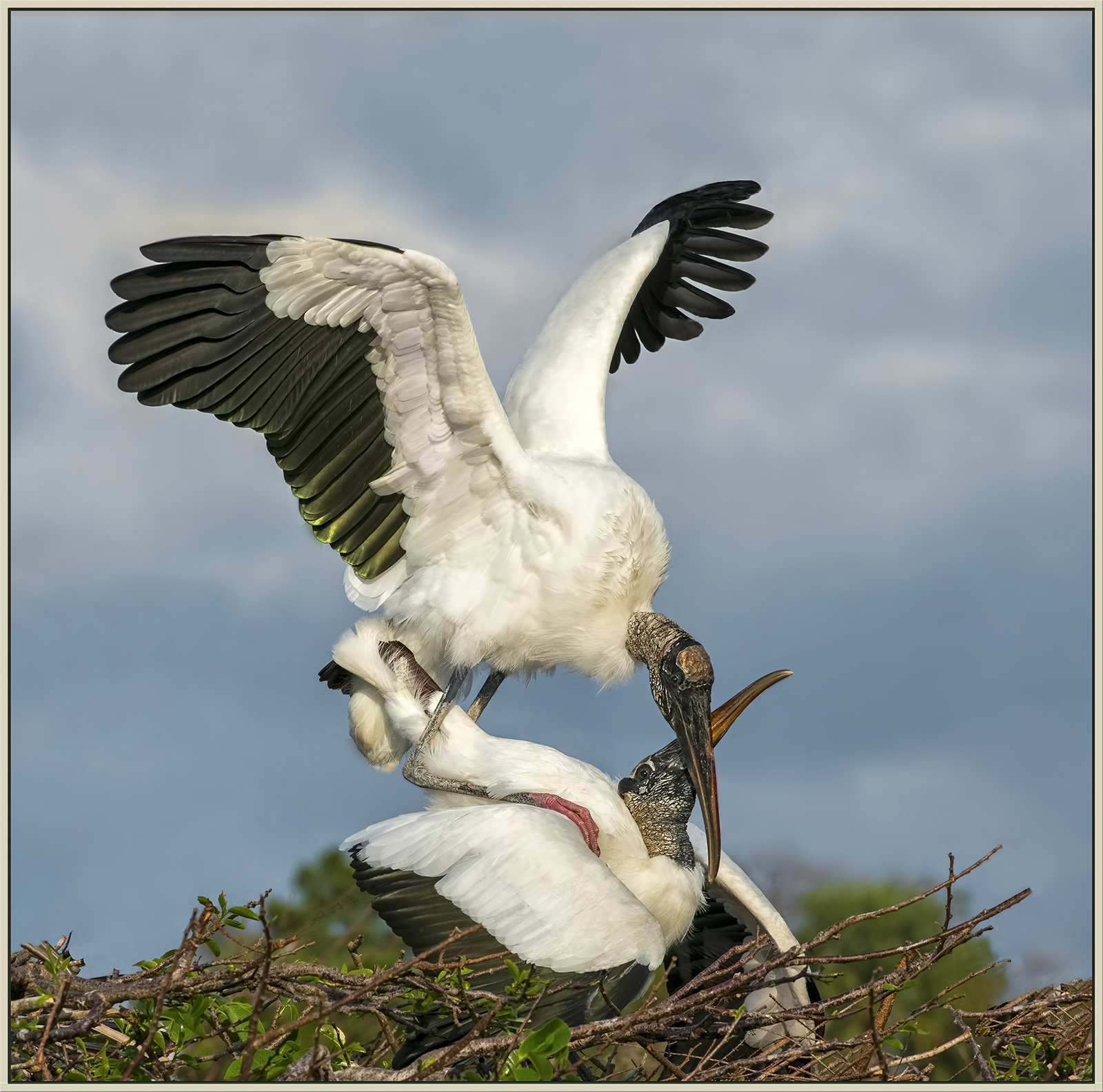 A Tender moment