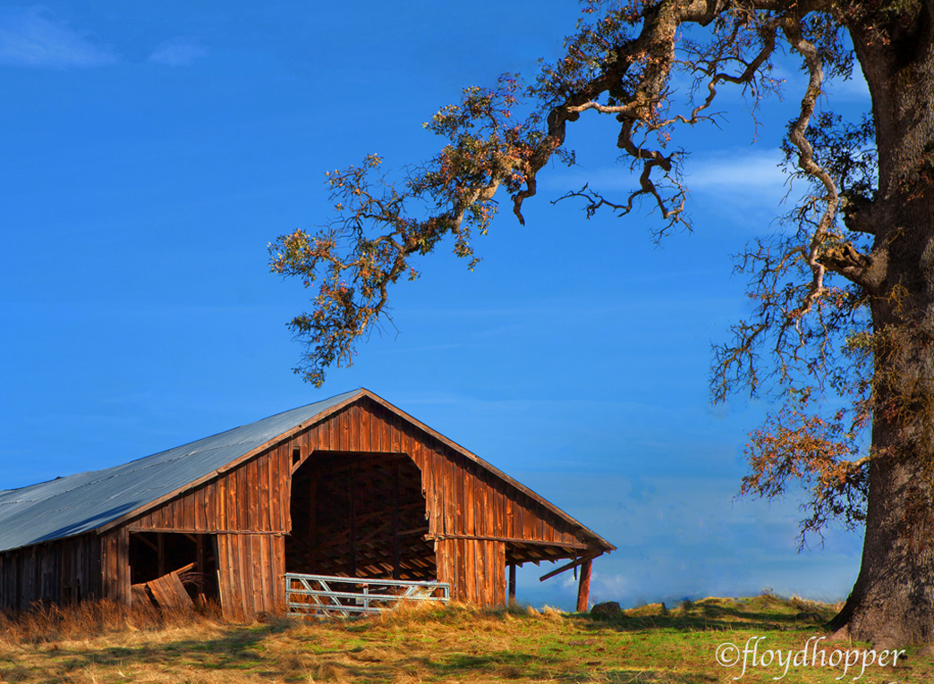Country Barn+repost