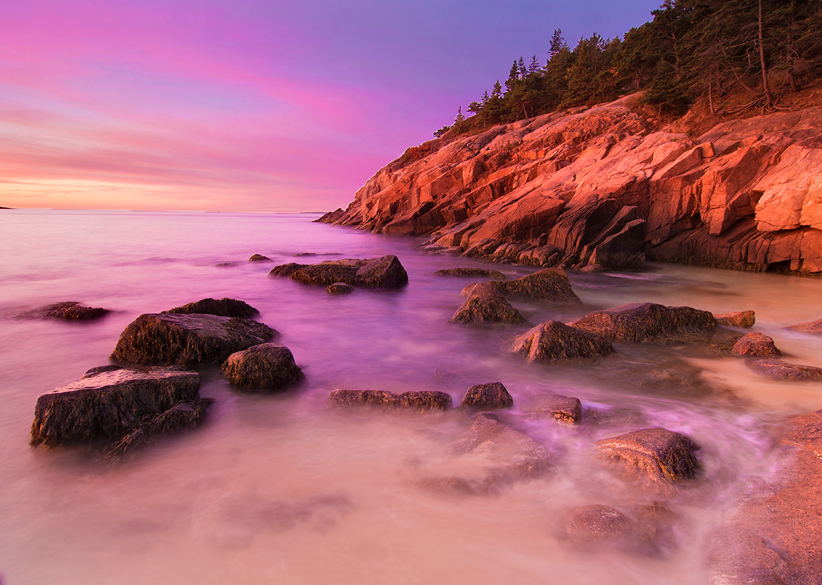 Colors of Acadia #6 + repost