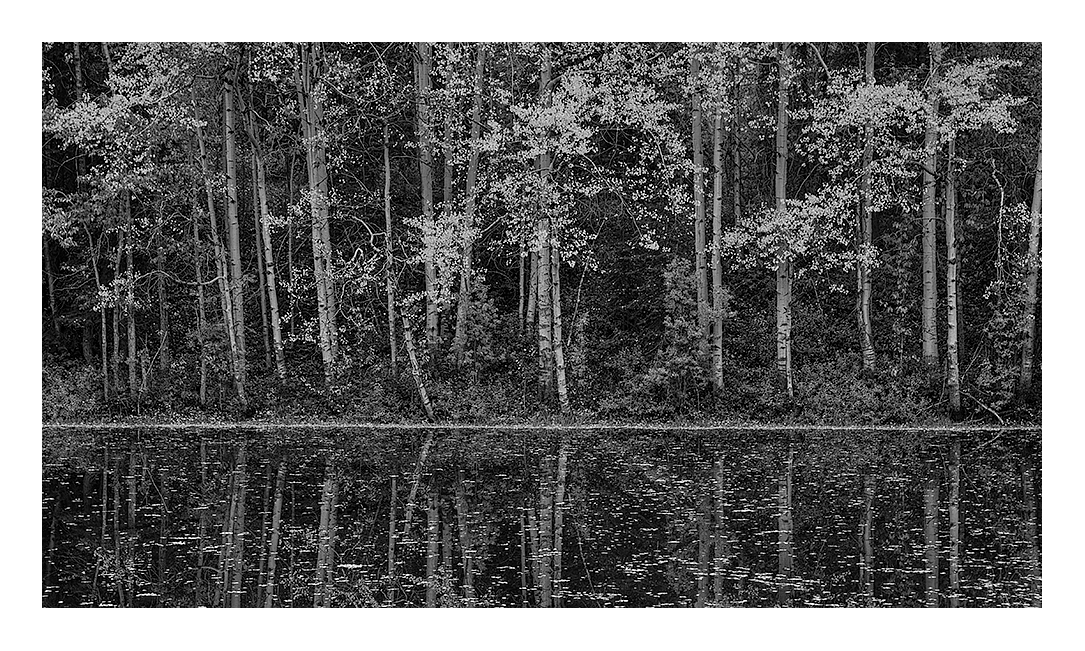 Birch Pond + rp