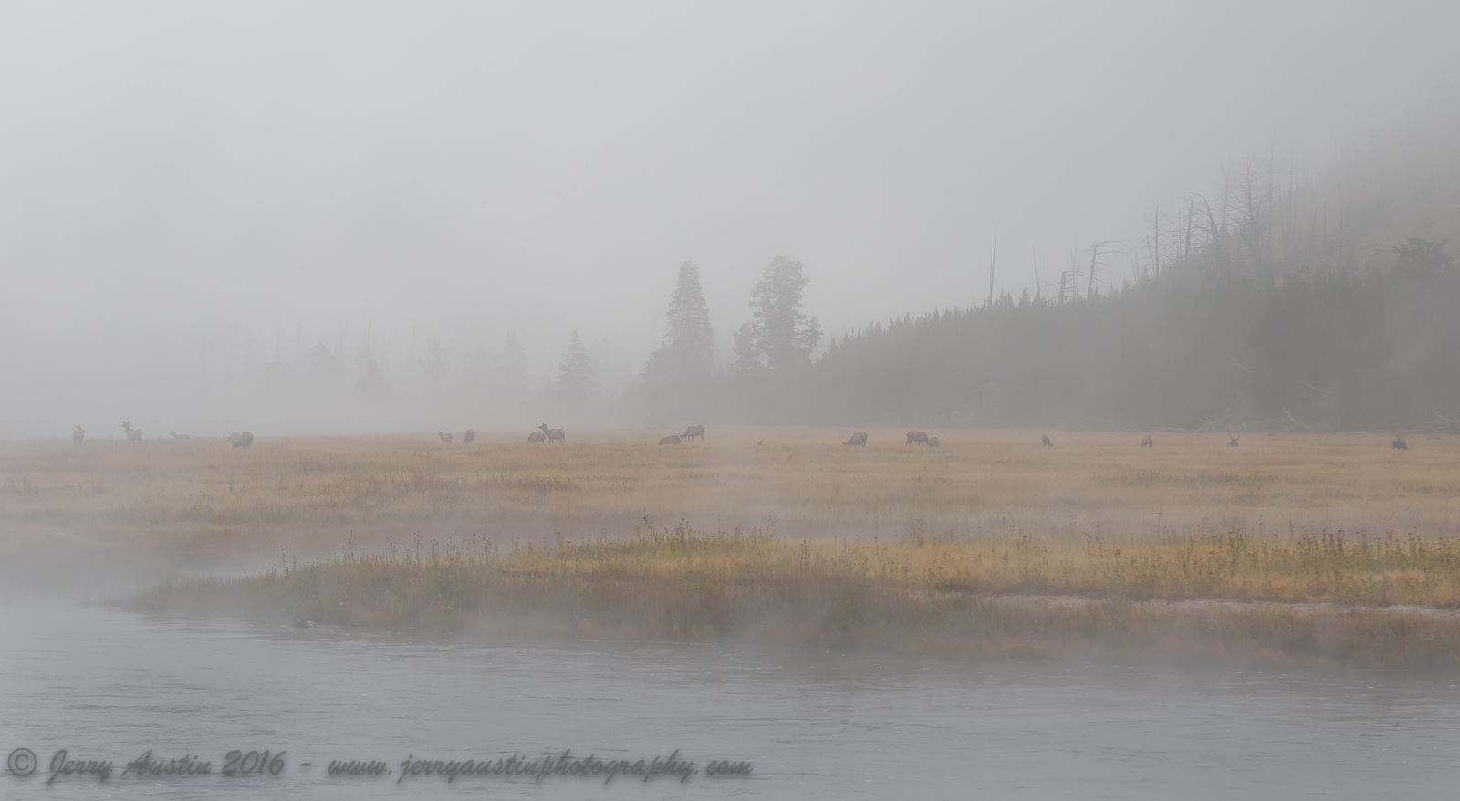 Madison River Fog