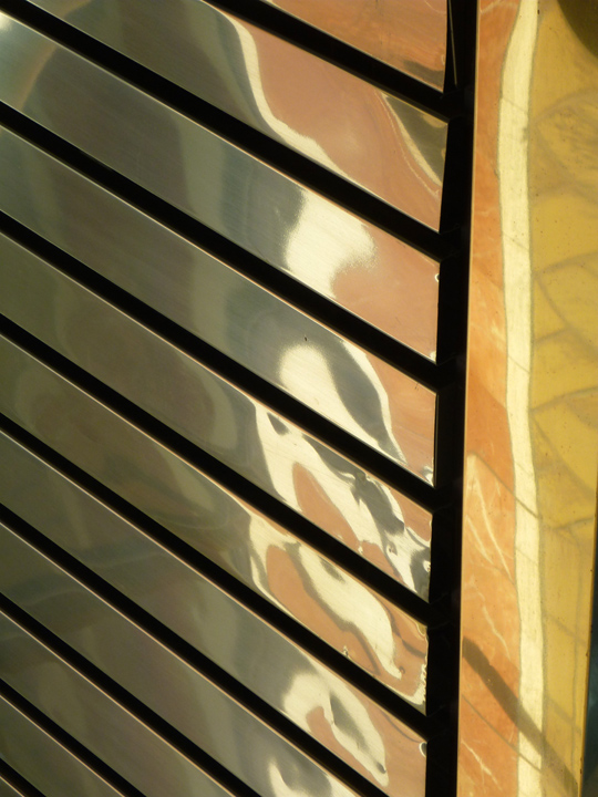 Golden Reflection