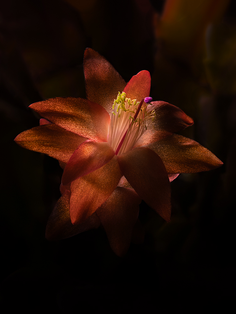 Lit up at dark