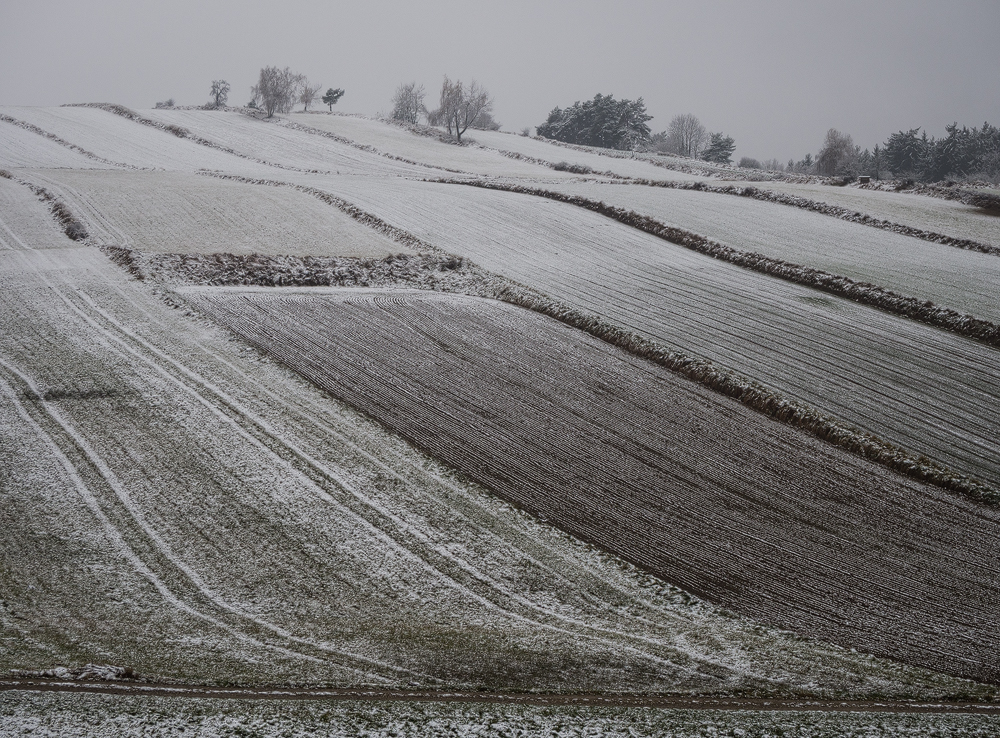 Rural scene I