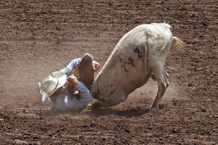 Steer Wrestling