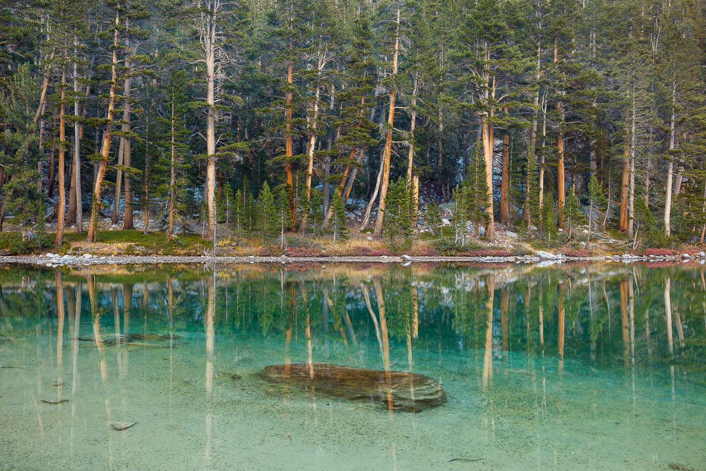 Emerald Pool + Repost