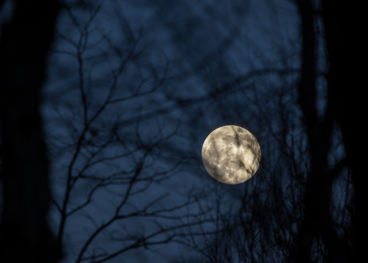 Winter's moon.