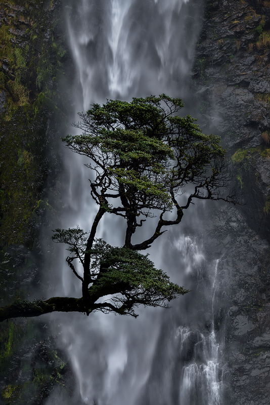 Fragility