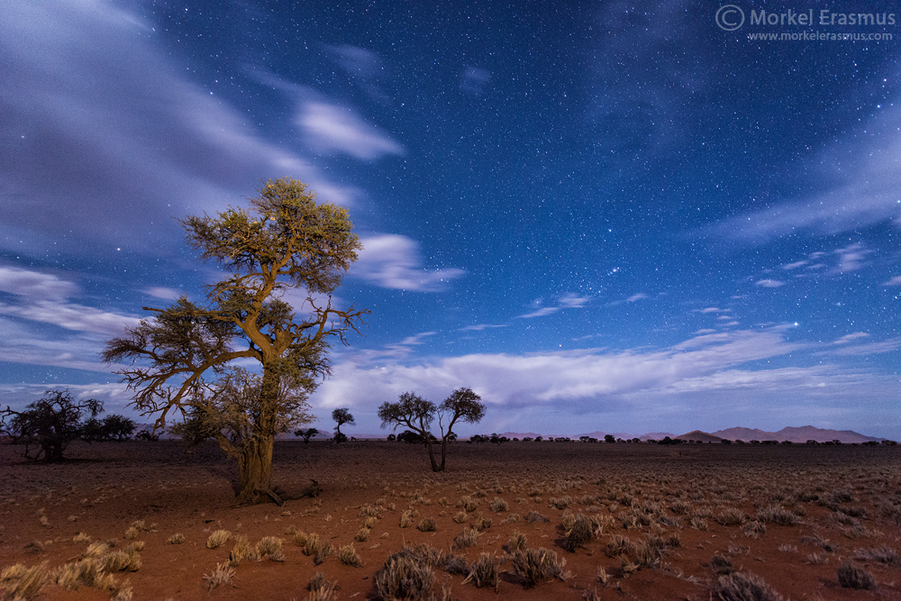 NamibRand Nightscape
