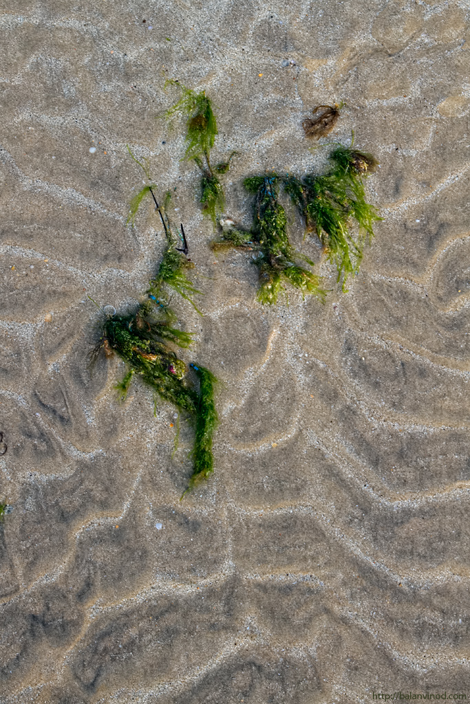 Beach Abstract