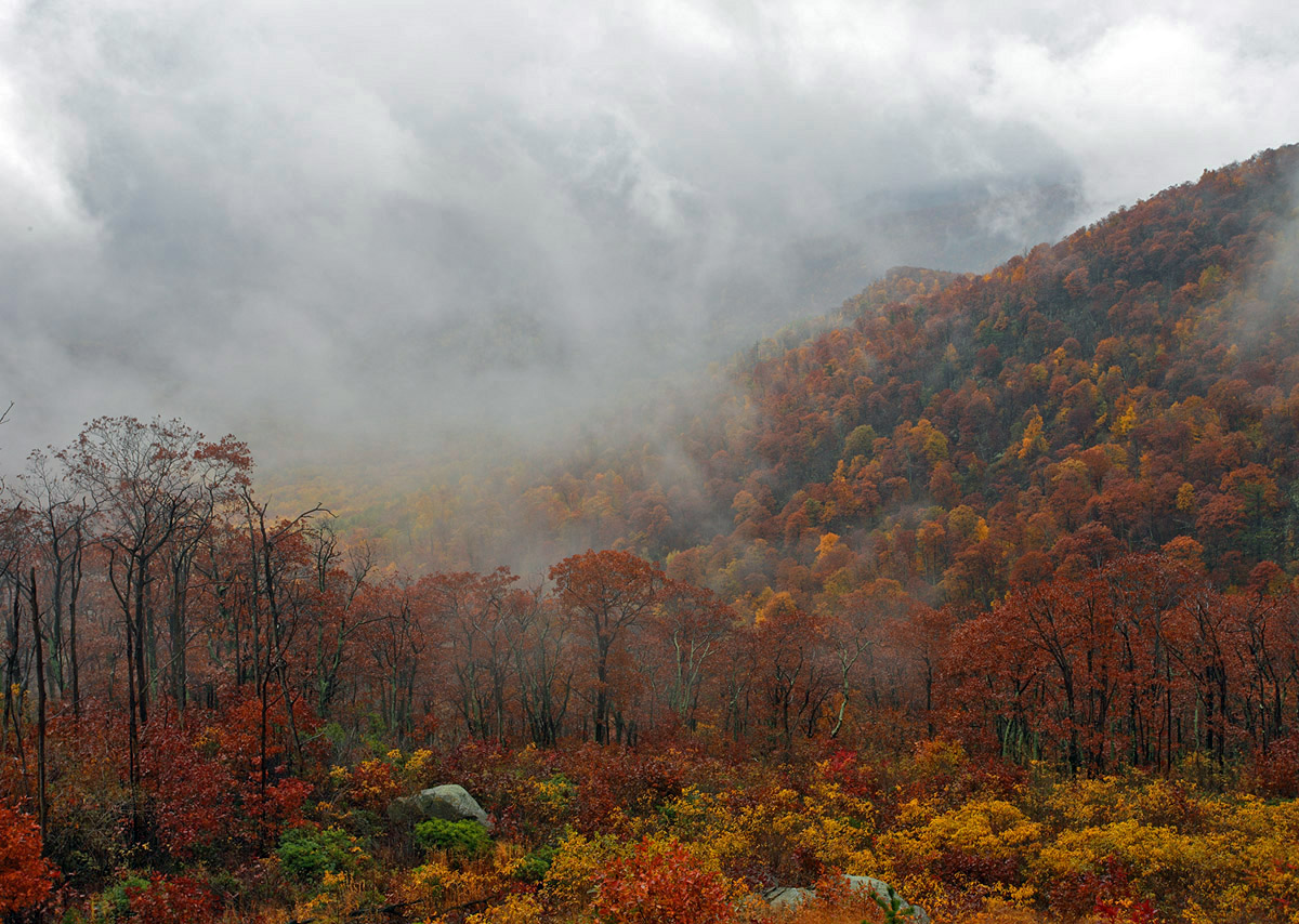 Shenandoah #2 + Repost