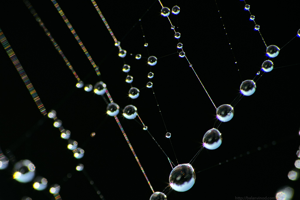 Connections