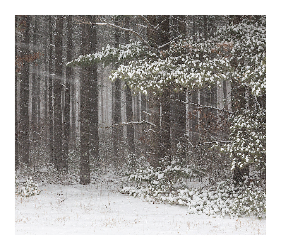First Snow