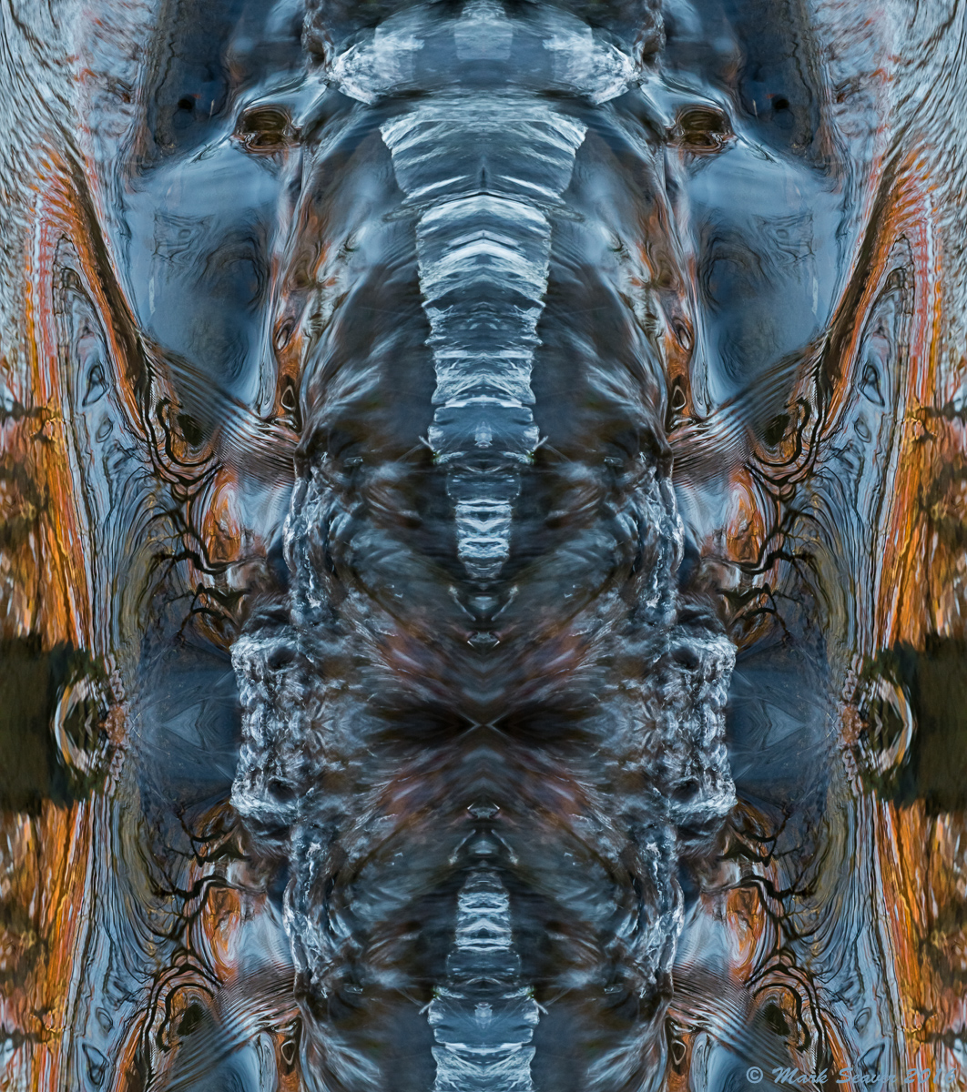 Blue Watchers