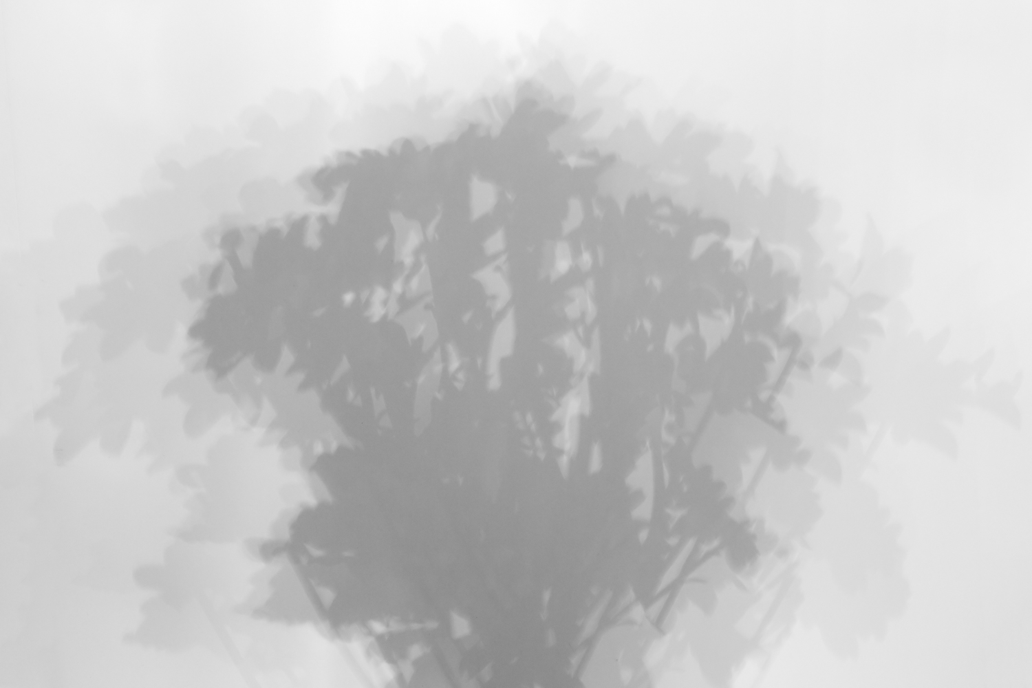 Experiment