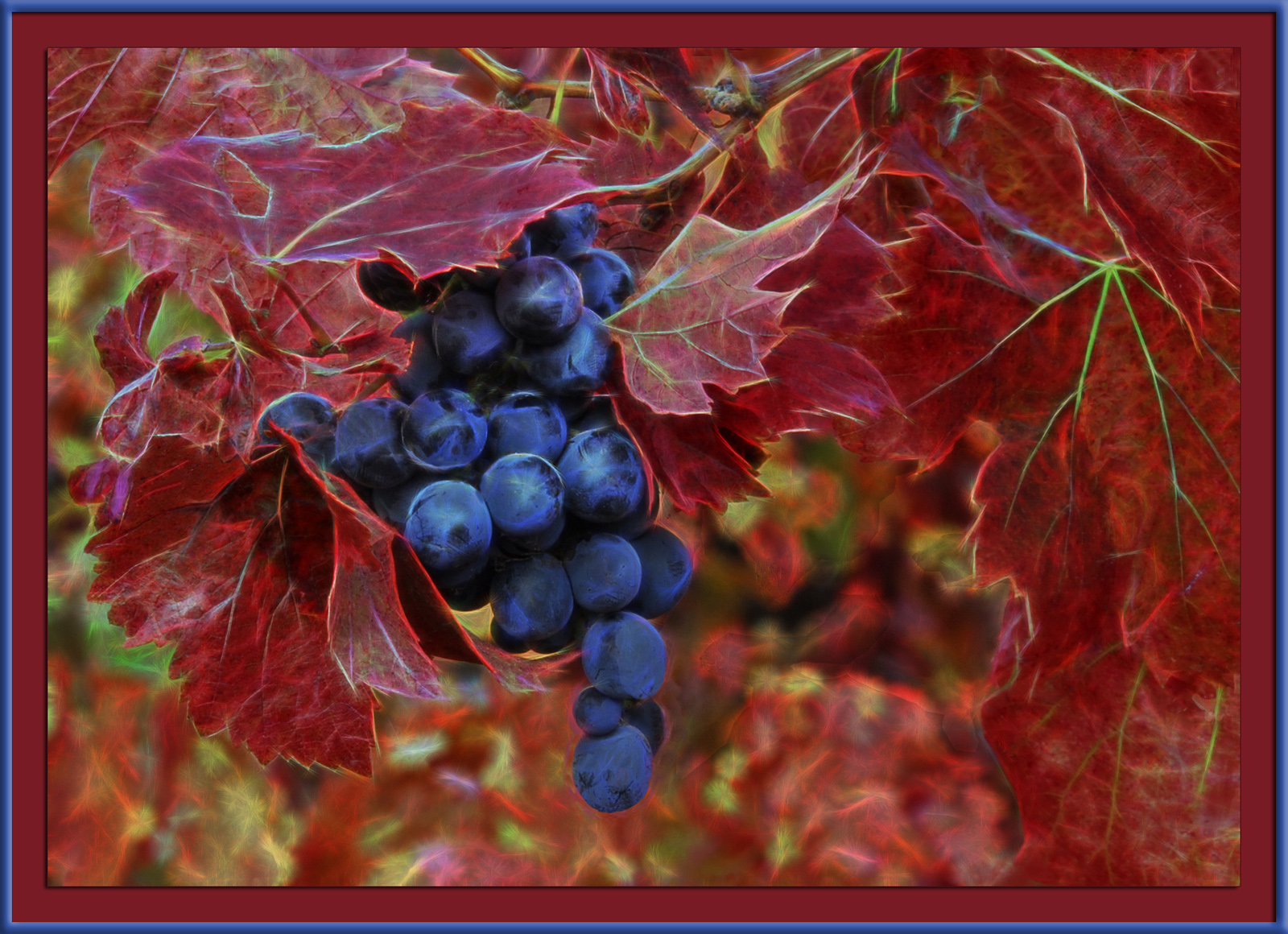 Autumn Grapes