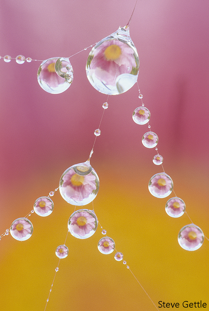 Crystal Balls 