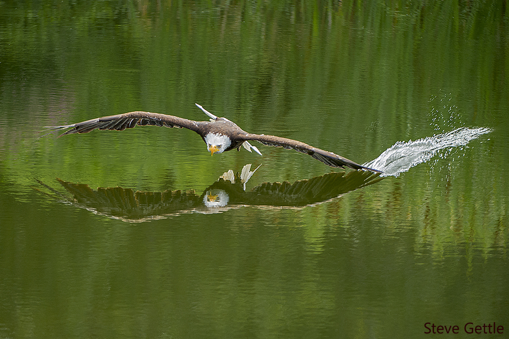 The Wing Drag