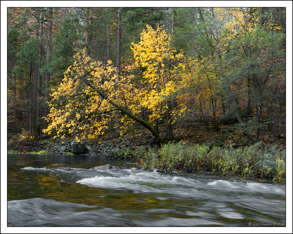 A River Afternoon