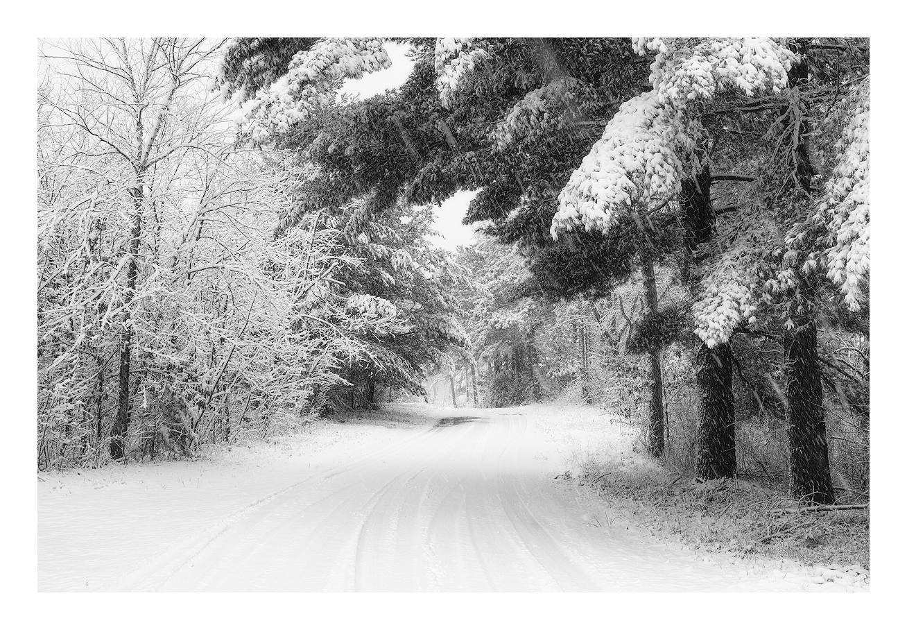 Snowstorm